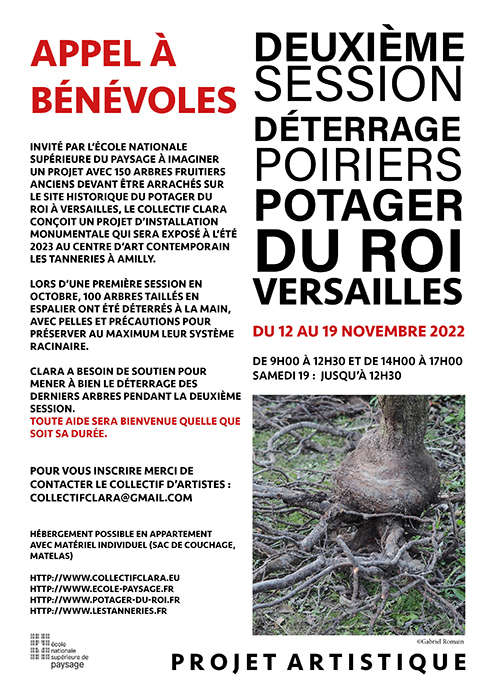 Appel à bénévoles pour le seconde déterrage de poiriers anciens au Potager du Roi,n Versailles, Collectif d'artistes CLARA